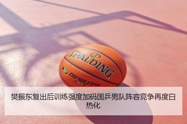 樊振东复出后训练强度加码国乒男队阵容竞争再度白热化